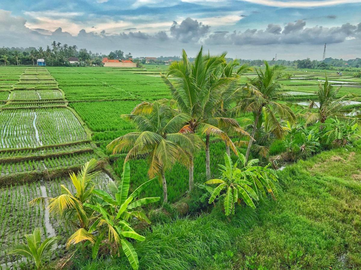Swell Hotel, Pool Bar & Restaurant Tanah Lot  Luaran gambar